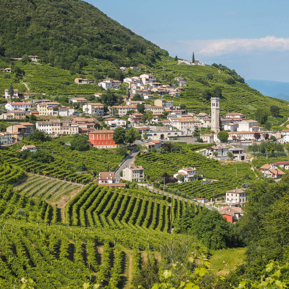 Valdobbiadene